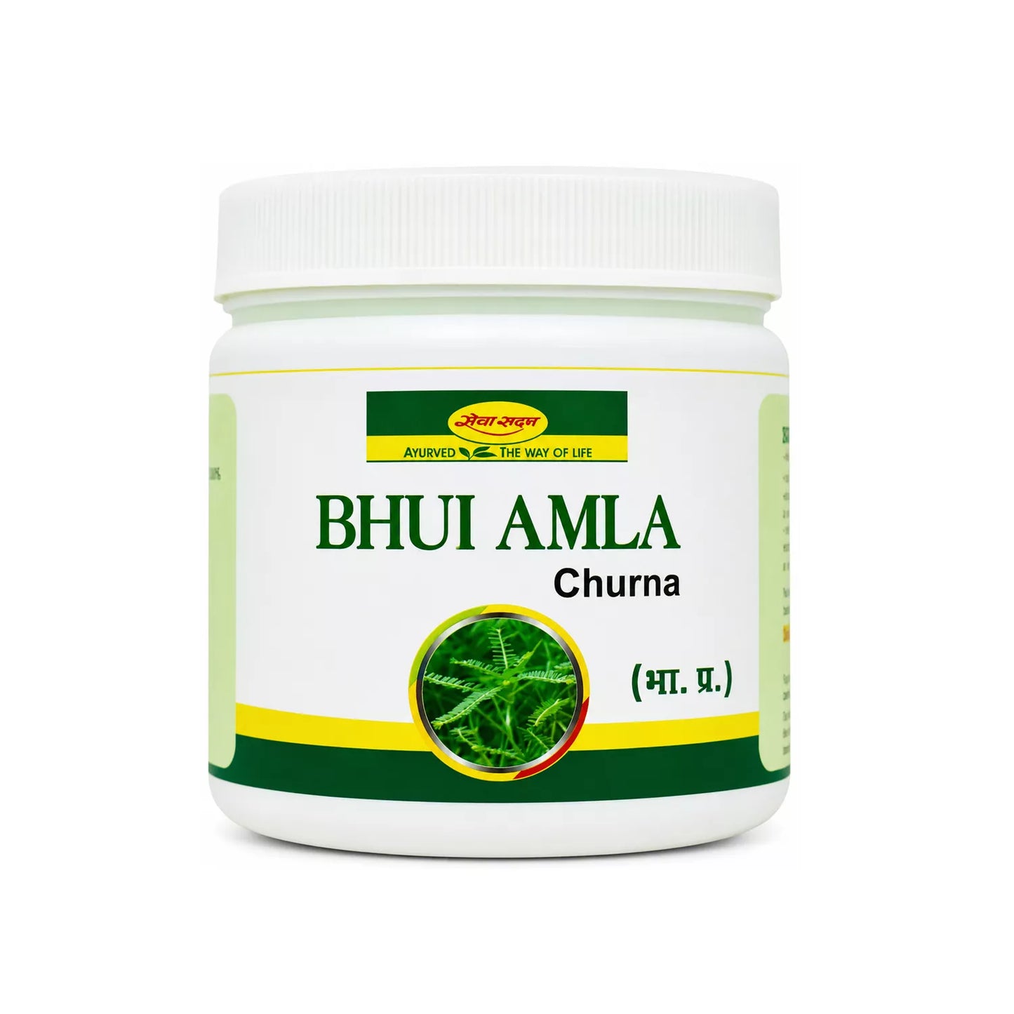 Shri Seva Sadan Bhui Amla Churna