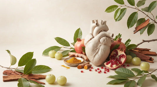 Ayurvedic heart wellness concept with natural herbs and ingredients