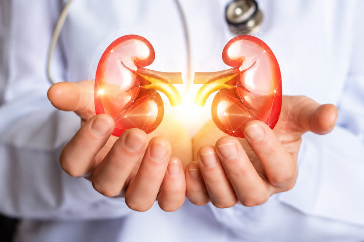 Renal Care