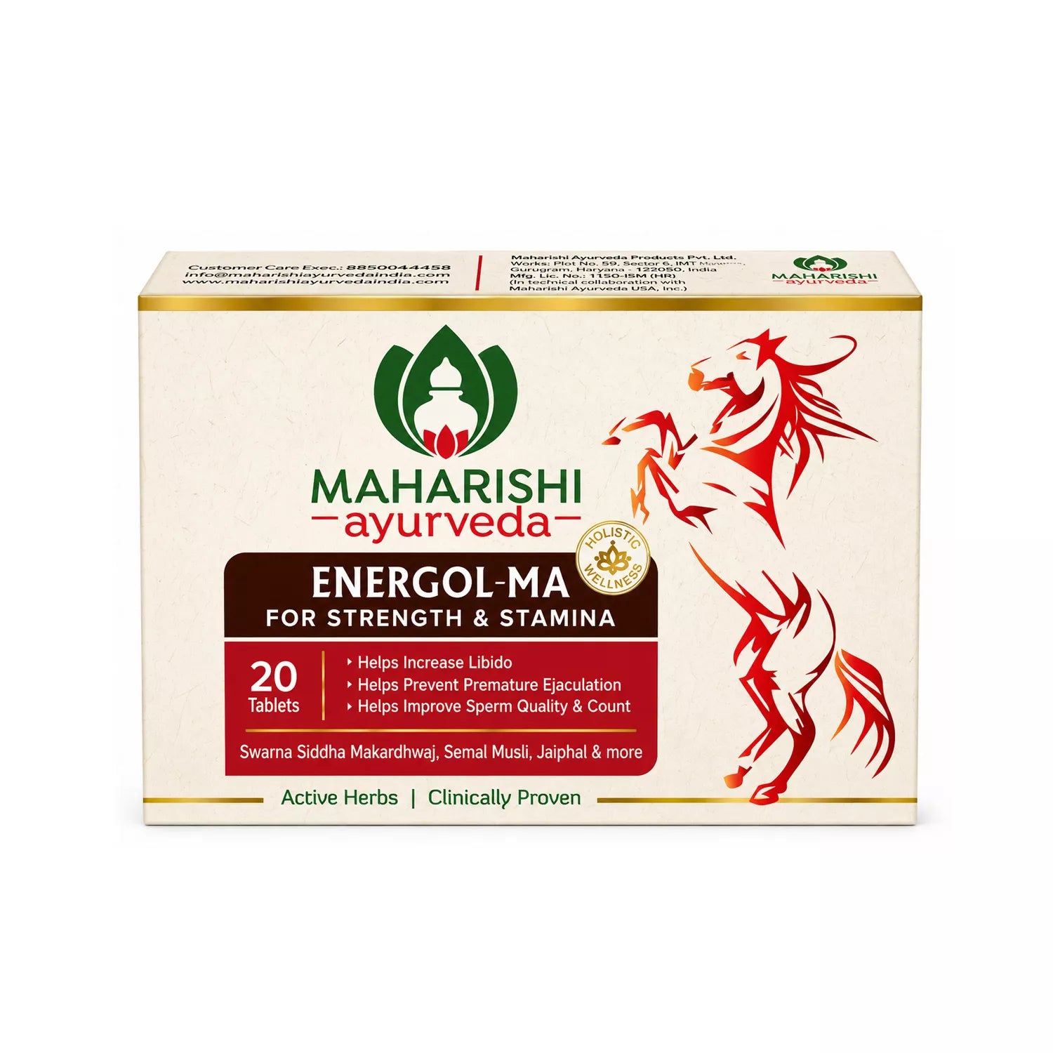 Maharishi Ayurveda Energol-MA Tablets