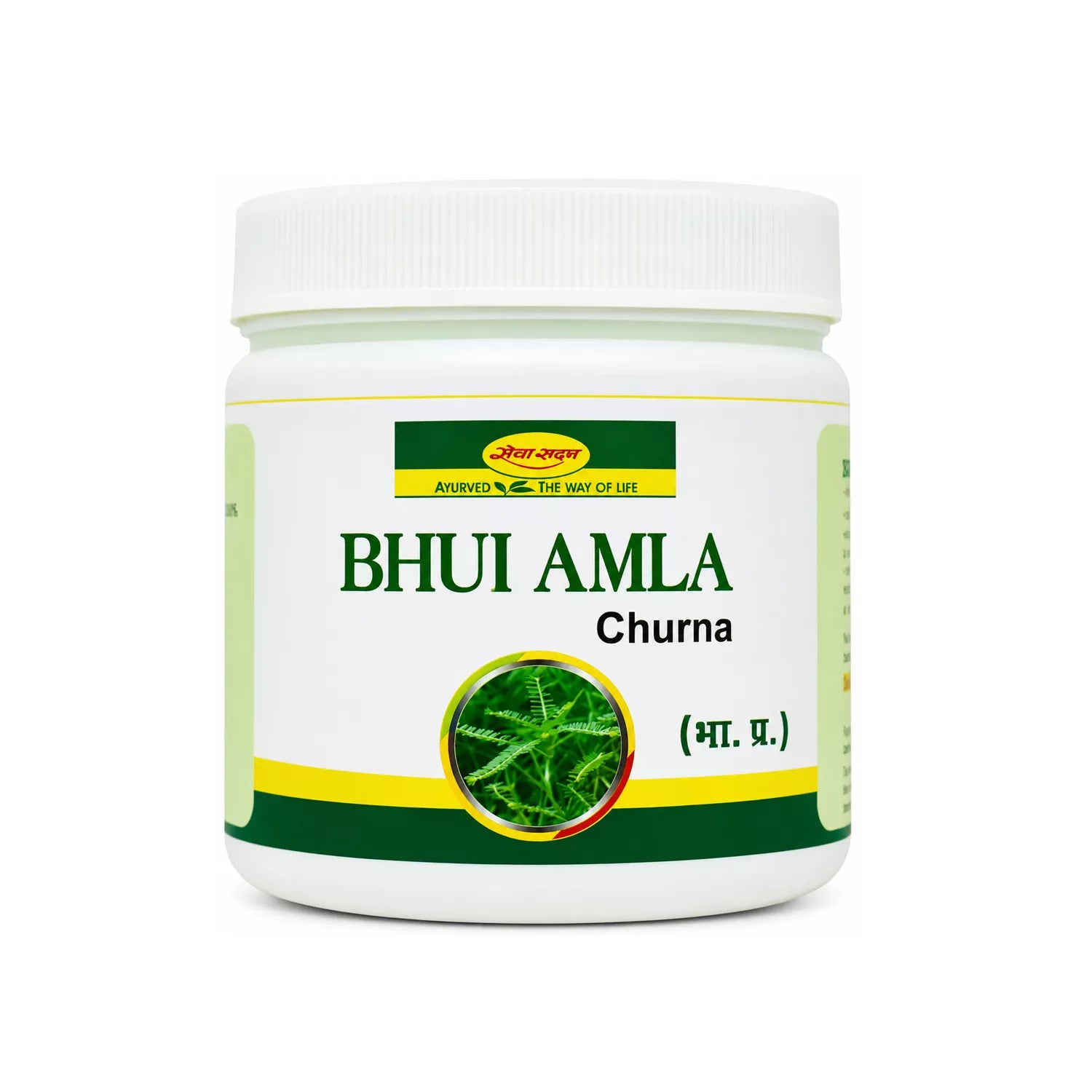 Shri Seva Sadan Bhui Amla Churna