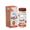 Dhootapapeshwar Amla Plus Tablets